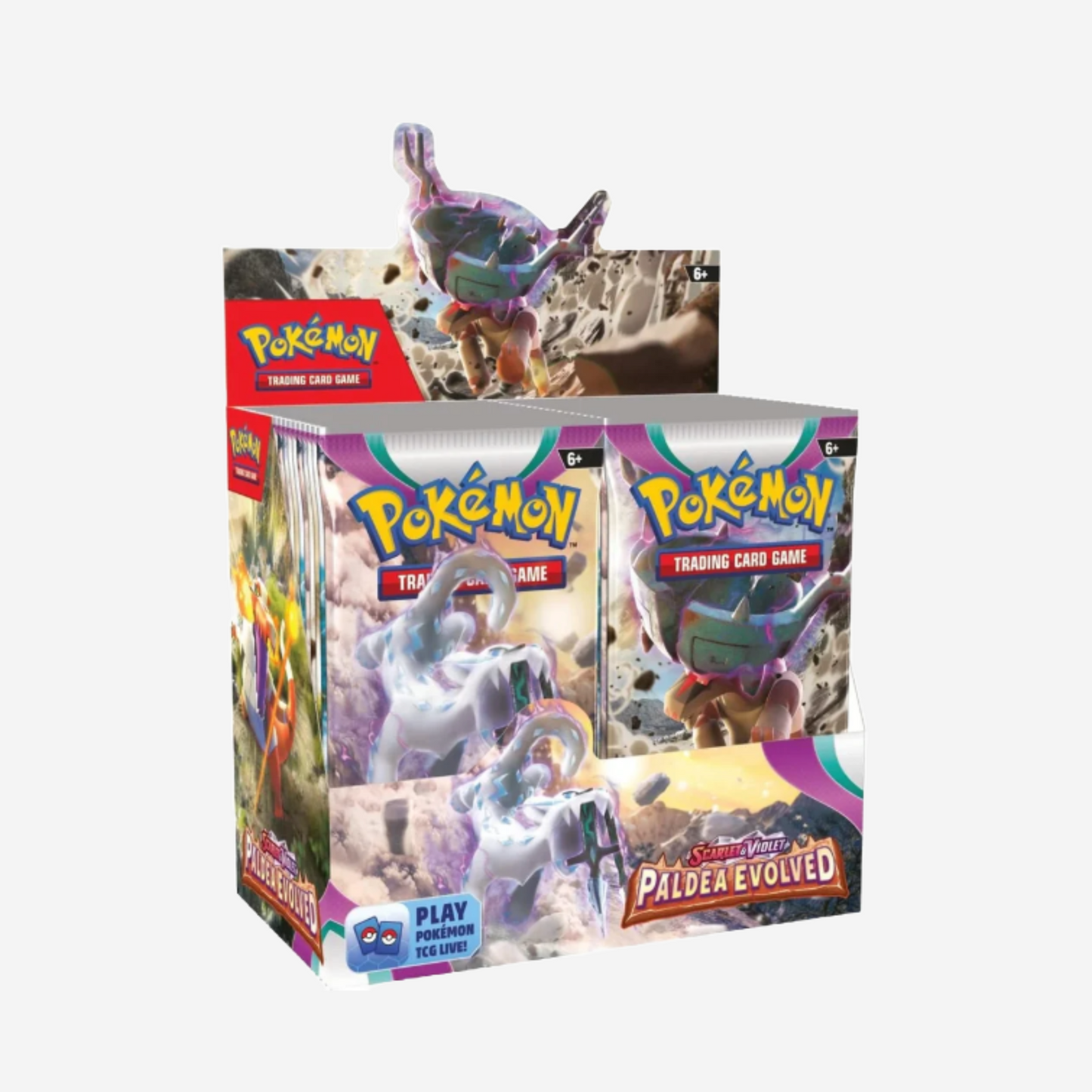 [POKÉMON] PALDEA EVOLVED DISPLAY [EN]